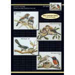 (image for) Mini Garden Birds